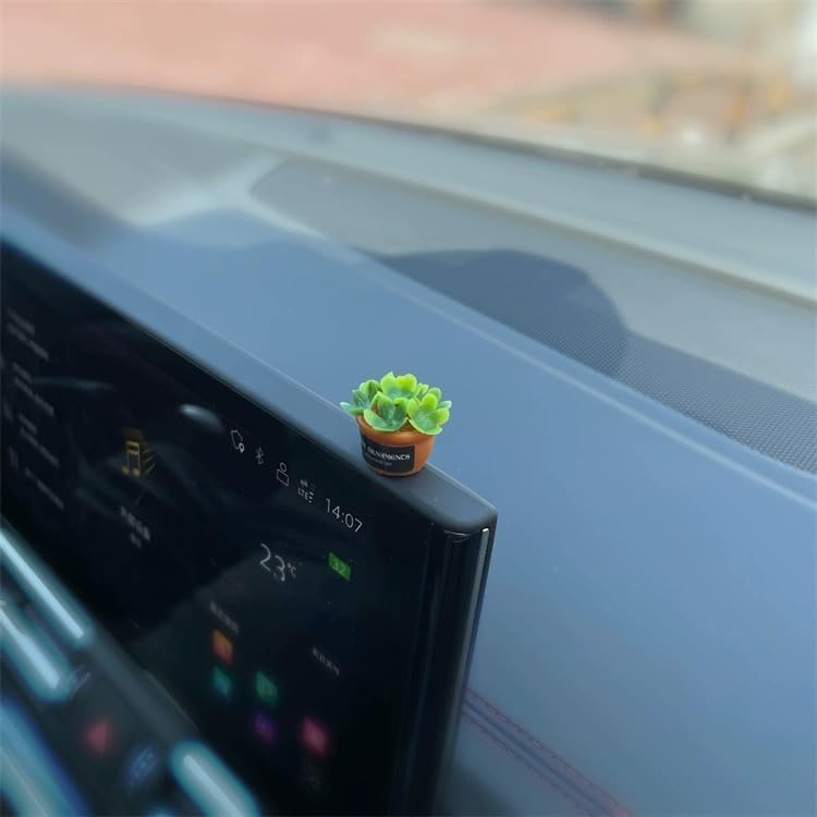 Mini Car Ornament, Mini Succulent Dashboard Decor, Desktop Miniature Pottery Planter for Car Interior Decoration (Succulent)