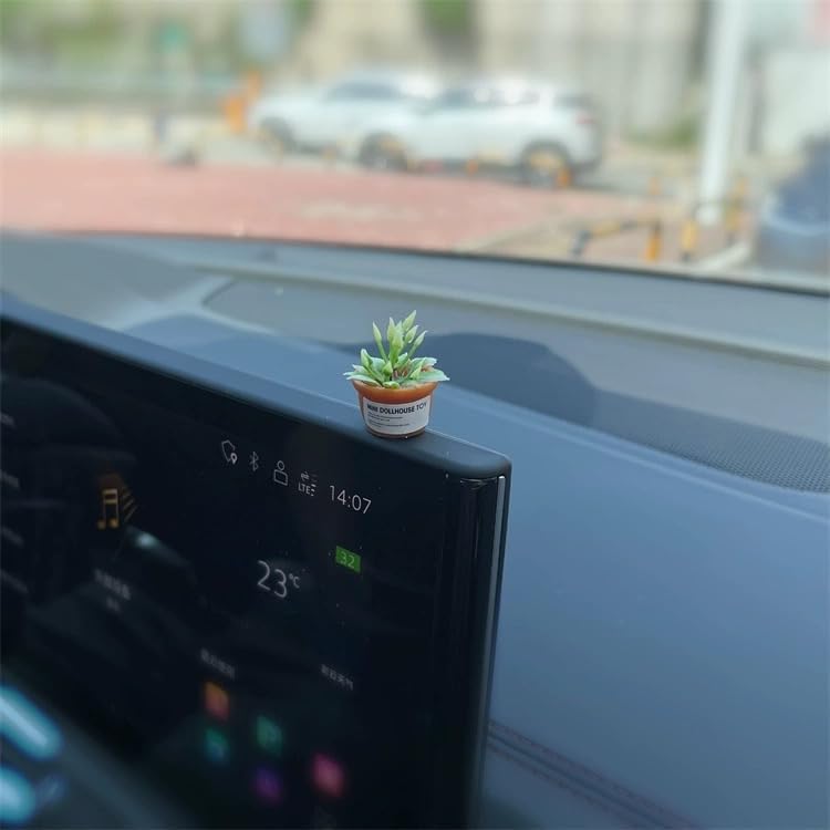 Mini Car Ornament, Mini Succulent Dashboard Decor, Desktop Miniature Pottery Planter for Car Interior Decoration (Succulent)