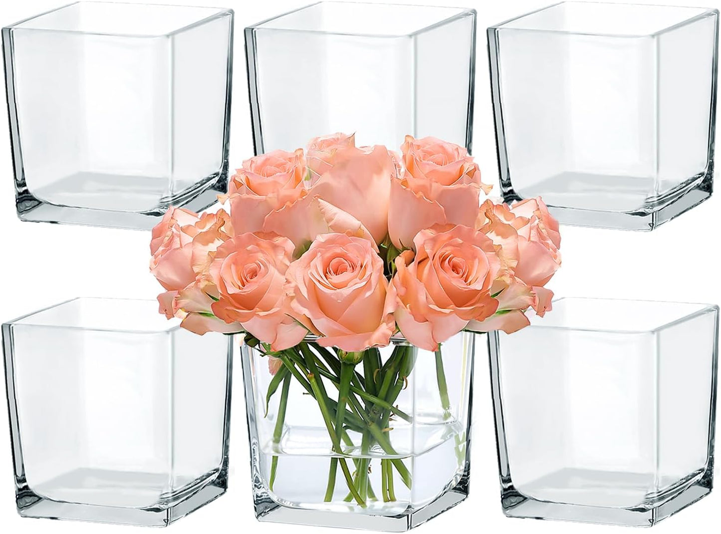 CONNOO 6 Pack 5" x 5" x 5" Clear Square Glass Vase for Centerpieces