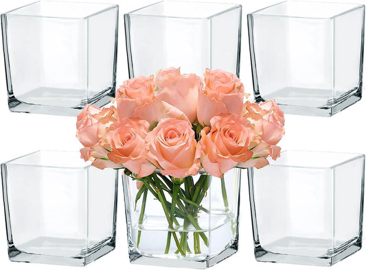 CONNOO 6 Pack 5" x 5" x 5" Clear Square Glass Vase for Centerpieces