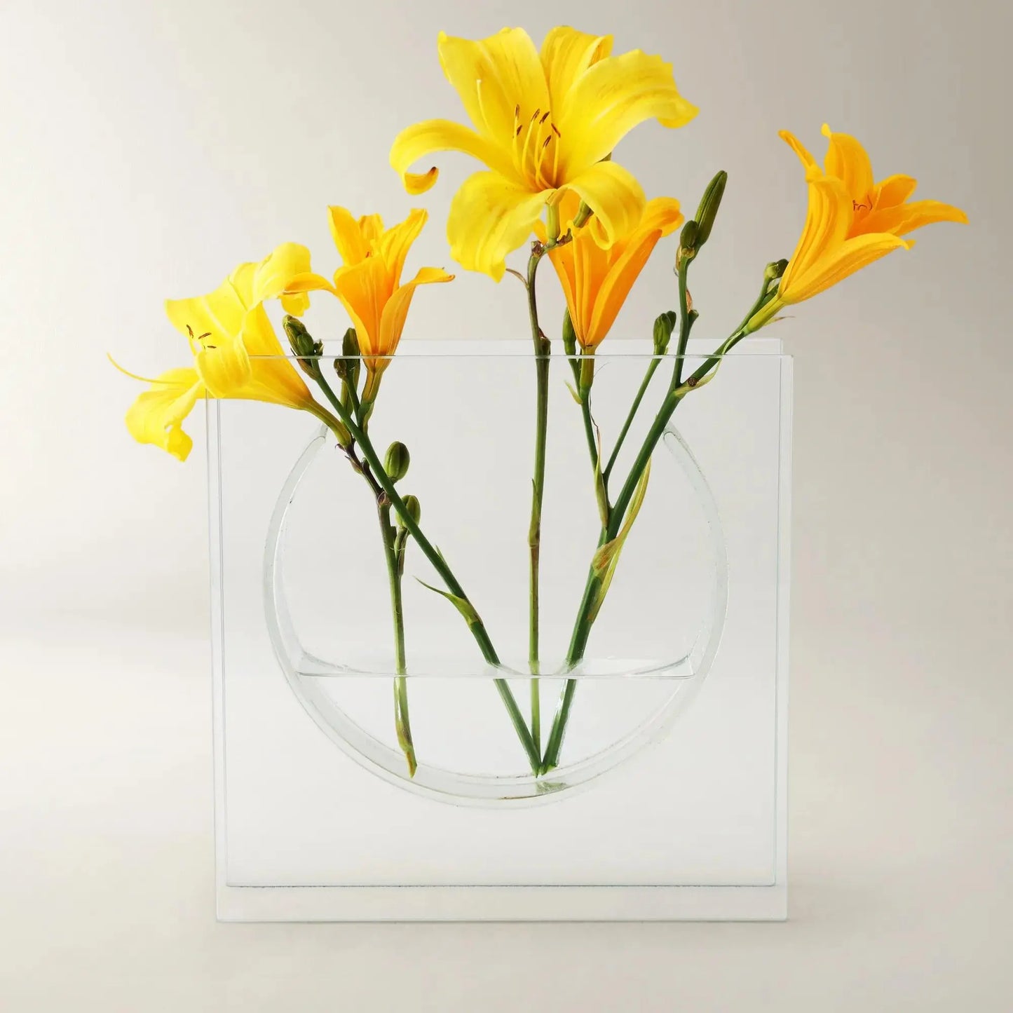 Z Gallerie Solaris Glass (Small: 8"W x 2"D x 8"H ; Large: 10"W x 2"D x 10"H) Decorative Vase Decoration Holder Bowl Ornaments Dining Table Centerpiece Vase Kit,summerwins,dorm essentials