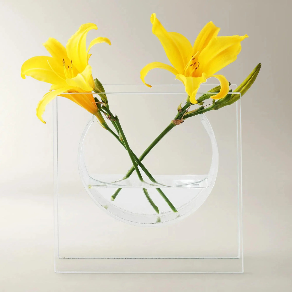 Z Gallerie Solaris Glass (Small: 8"W x 2"D x 8"H ; Large: 10"W x 2"D x 10"H) Decorative Vase Decoration Holder Bowl Ornaments Dining Table Centerpiece Vase Kit,summerwins,dorm essentials